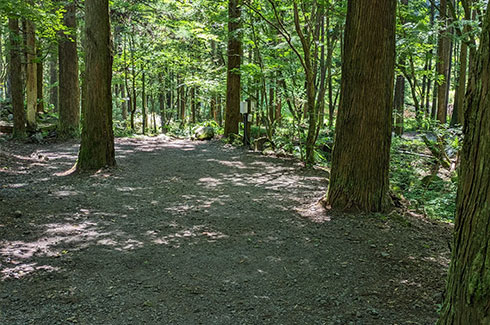 FUJIYAMA 泉の森 CAMPING FIELD