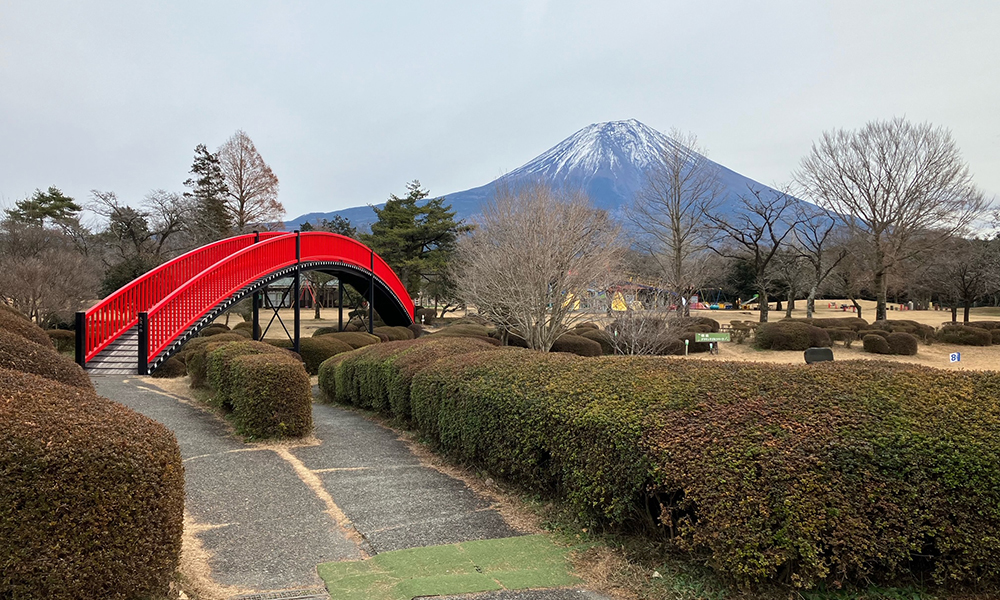 朝霧高原もちや