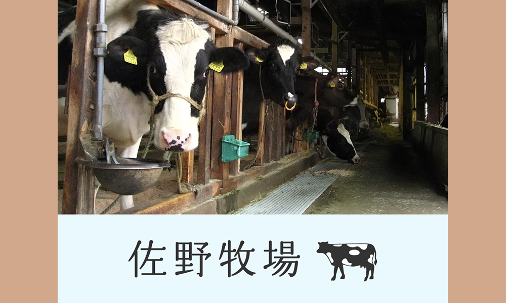 佐野牧場 ティコ